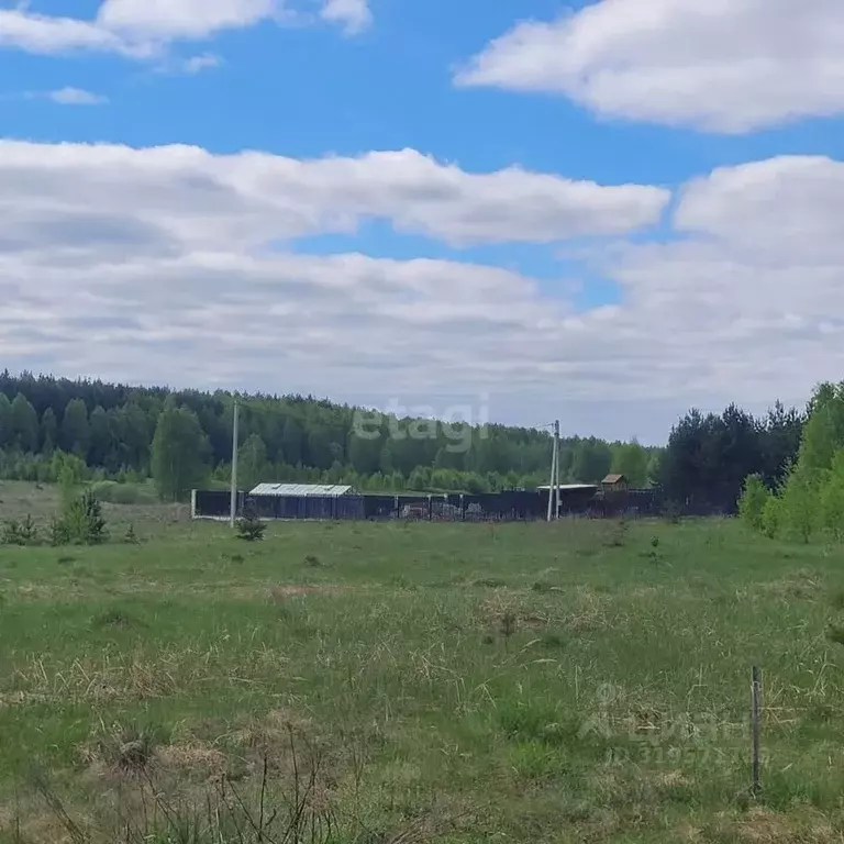 Участок в Владимирская область, Муром д. Коржавино, ул. Луговая (10.6 ... - Фото 1