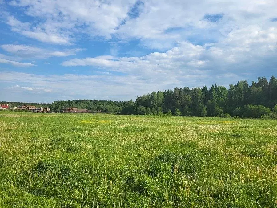 Купить Участок В Подмосковье Солнечногорский