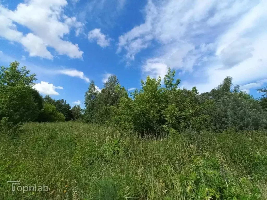 Дом в Владимирская область, Суздальский район, Селецкое муниципальное ... - Фото 2