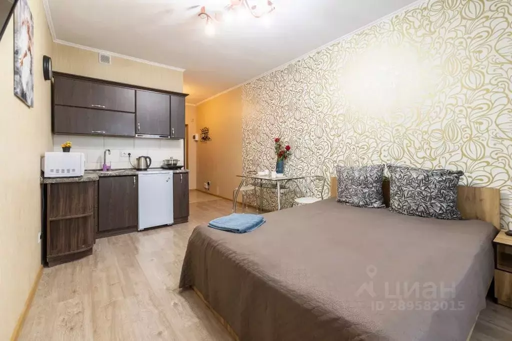 Студия Алтайский край, Барнаул просп. Строителей, 18 (24.0 м) - Фото 1