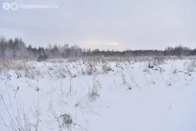 Участок в Шиховское сельское поселение, деревня Моргуновы (1200 м) - Фото 0