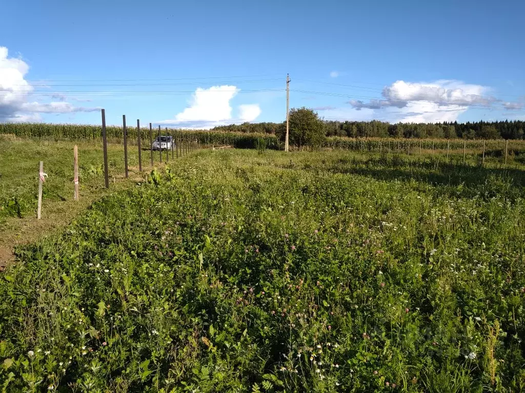 Участок в Калужская область, Жуковский район, д. Корсаково  (9.0 сот.) - Фото 2