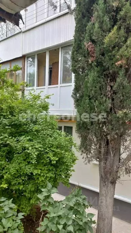 2-к кв. Севастополь ул. Надежды Островской, 3 (42.2 м) - Фото 1