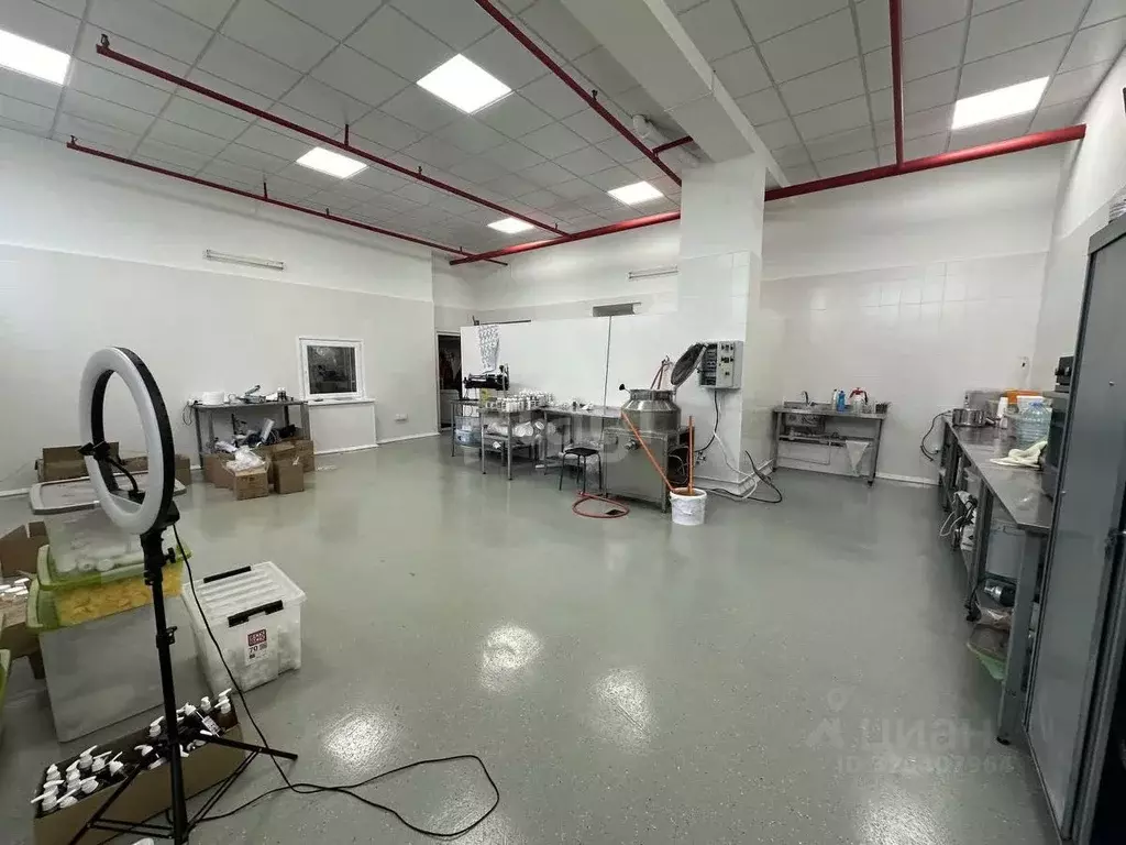 Склад в Новосибирская область, Новосибирск ул. Писемского, 6 (121 м) - Фото 1