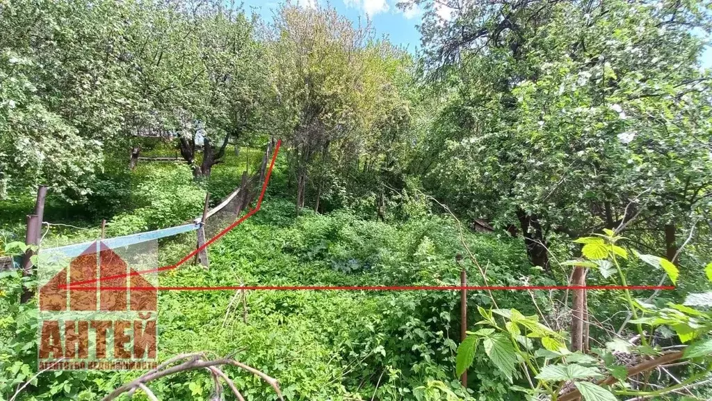 Участок в Нижегородская область, Нижний Новгород Родник СТ, 28 (4.2 ... - Фото 1