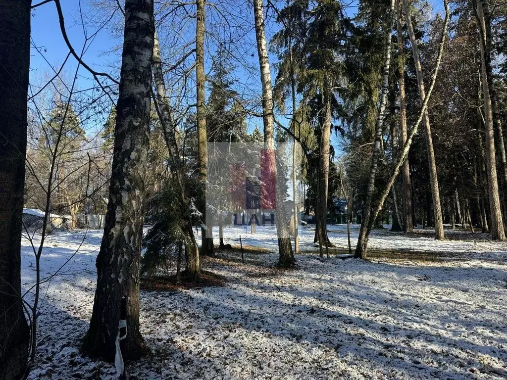 Участок, 33.9 сот., поселения (ижс) - Фото 1