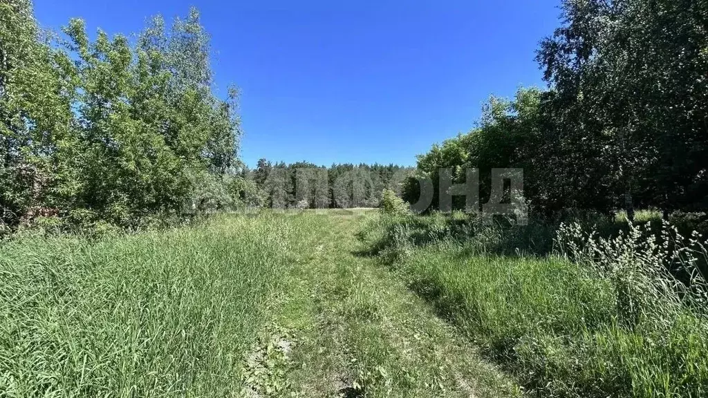 Участок в Новосибирская область, Ордынский район, д. Абрашино ... - Фото 2