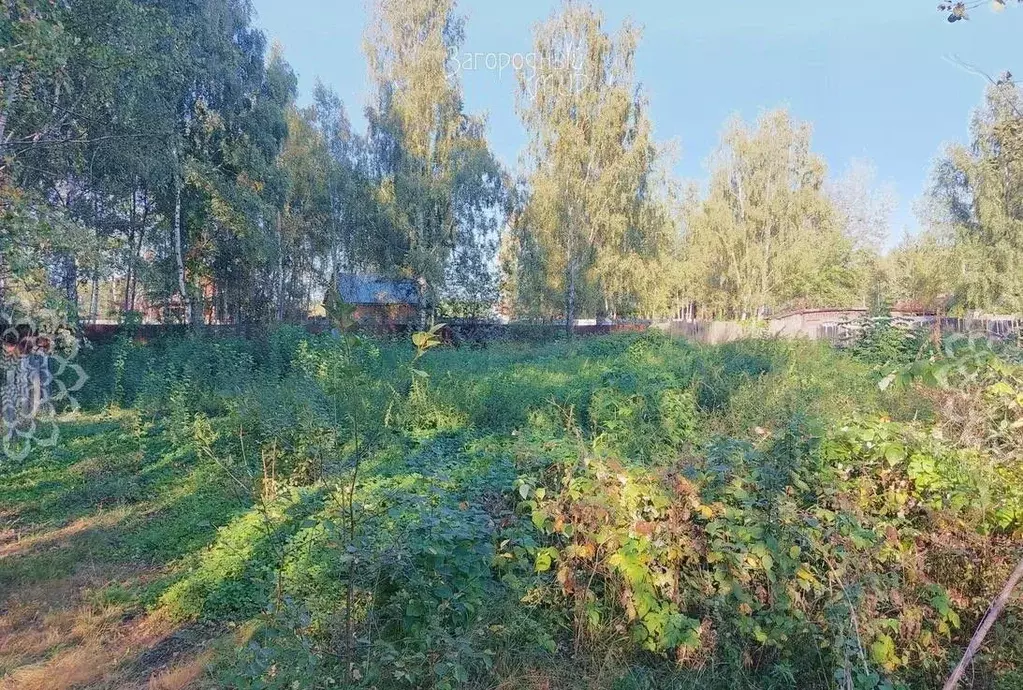 Участок в Московская область, Богородский городской округ, Навигатор ... - Фото 2