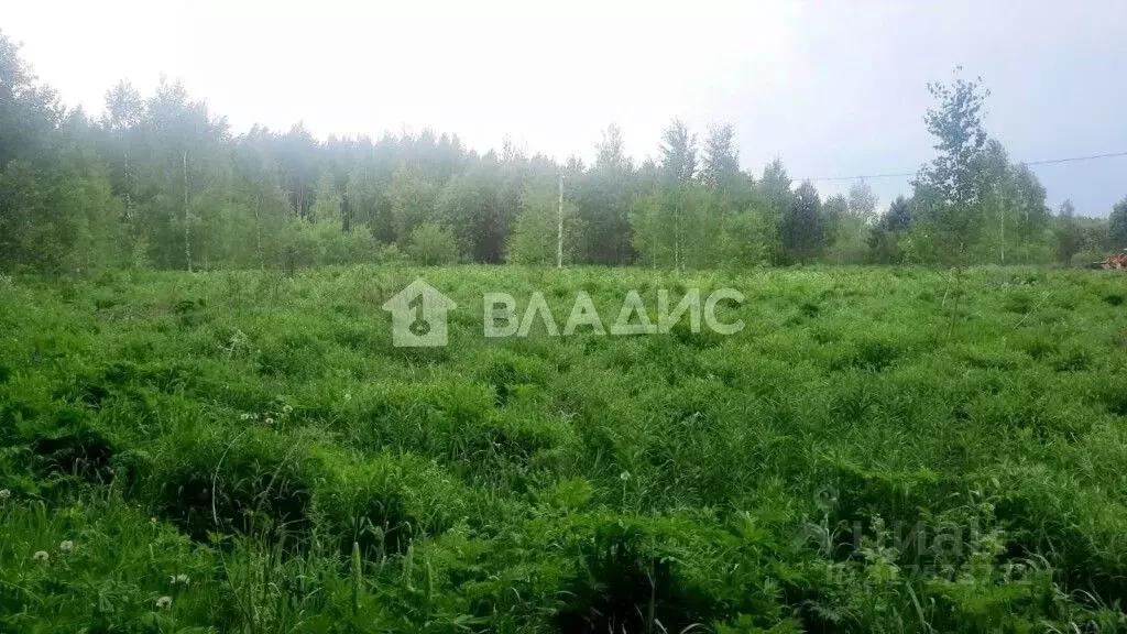 Участок в Нижегородская область, Городецкий муниципальный округ, д. ... - Фото 0