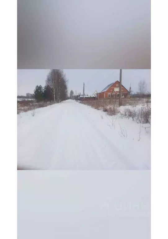 Участок в Орловская область, Глазуновский район, Отрадинское с/пос, д. ... - Фото 1