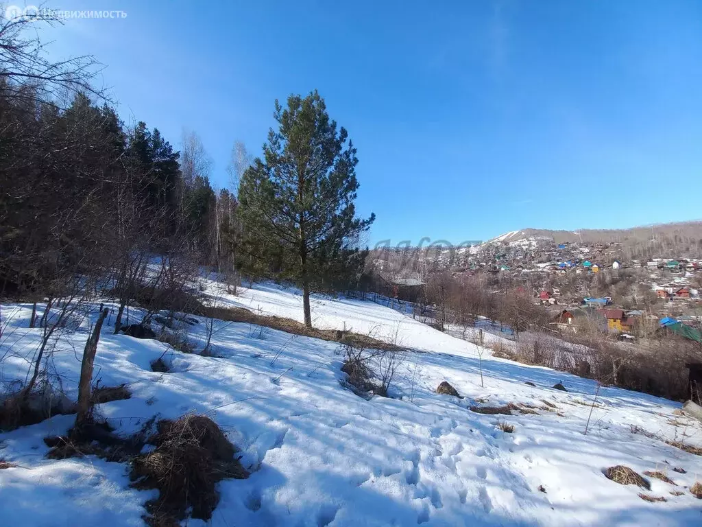 Участок в Горно-Алтайск, Черёмуховая улица (10.04 м) - Фото 2