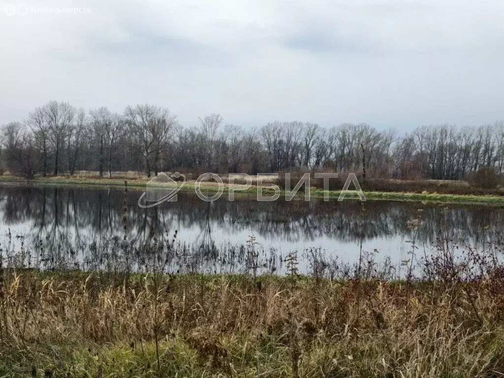 Участок в Тюменский муниципальный округ, село Борки (600 м) - Фото 1