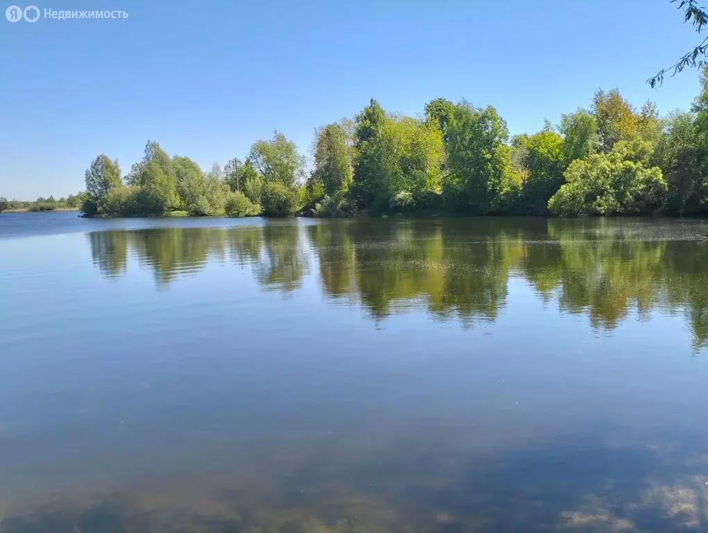 Участок в посёлок Озерки, Лесная улица (12 м) - Фото 1