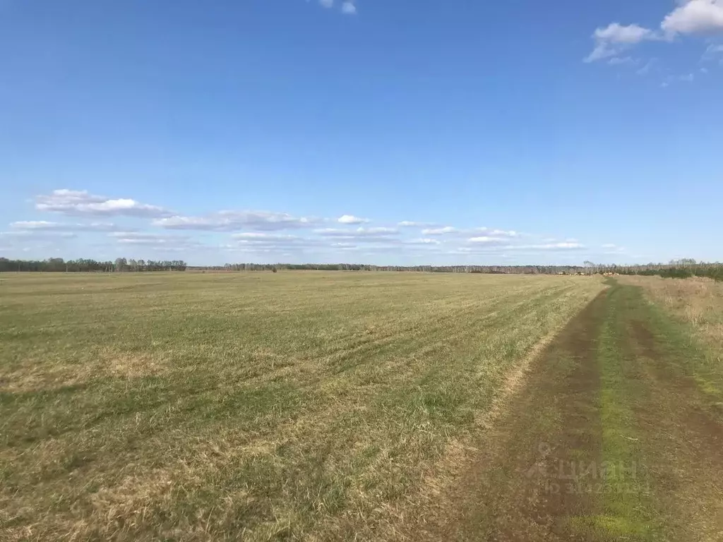 Участок в Алтайский край, Первомайский район, с. Фирсово, Рощино мкр ... - Фото 2