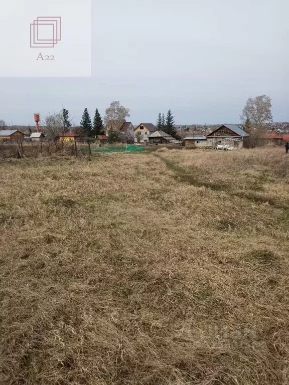 Участок в Алтайский край, Барнаул городской округ, пос. Бельмесево ул. ... - Фото 1