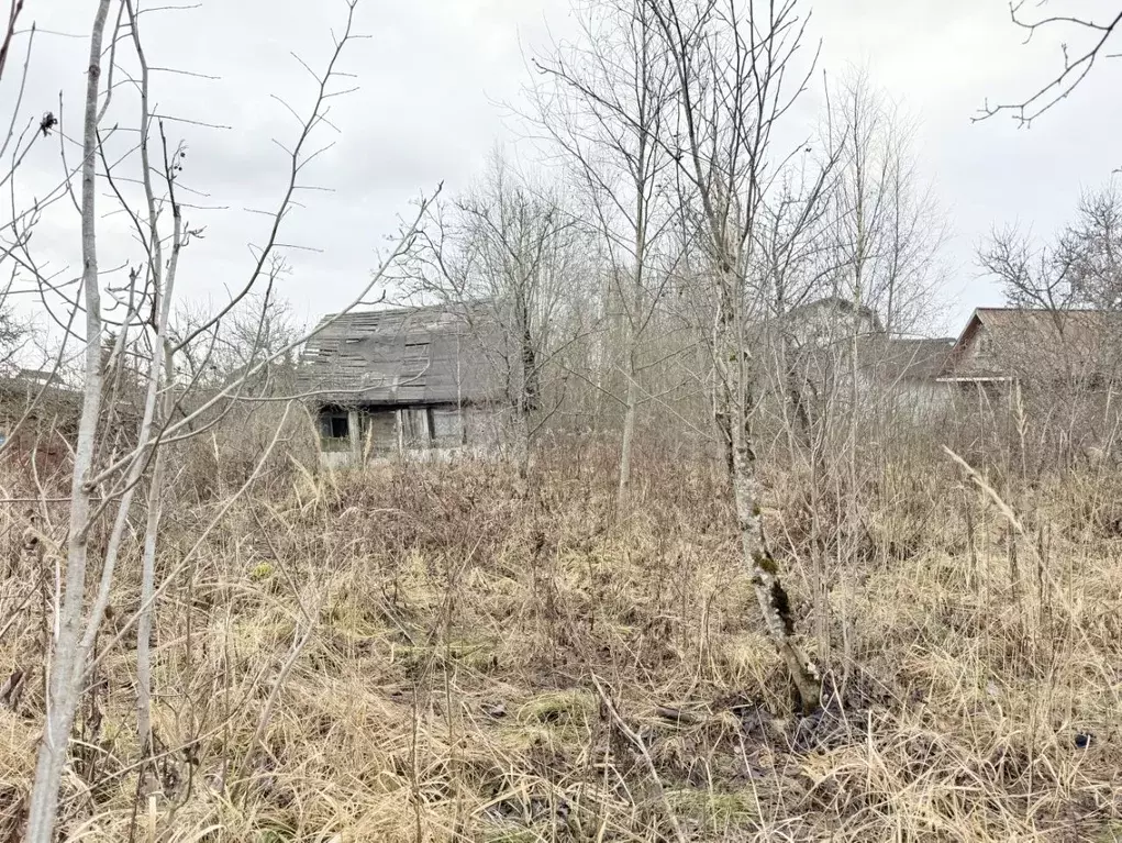 Участок в Ленинградская область, Гатчинский муниципальный округ, Чаща ... - Фото 1