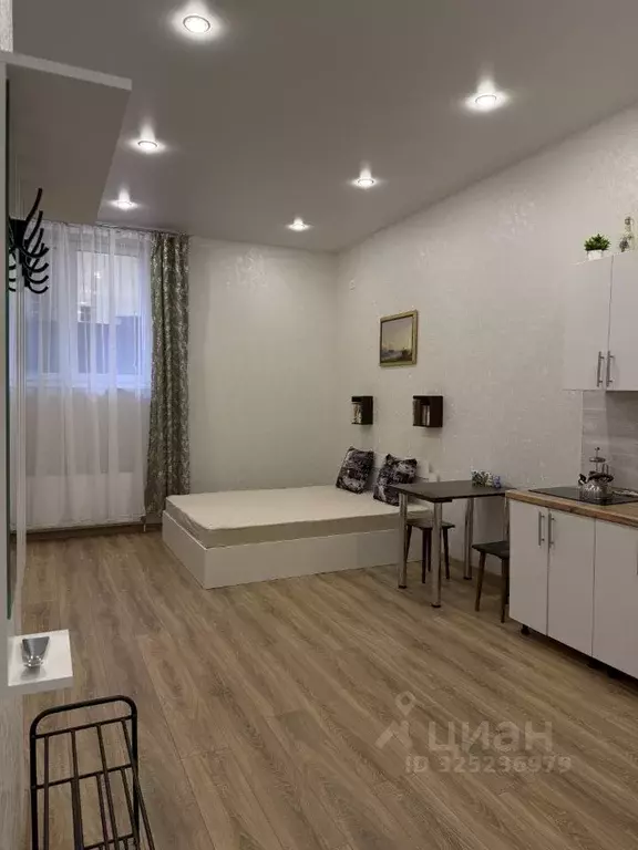 Студия Краснодарский край, Анапа ул. Ивана Голубца, 147 (27.0 м) - Фото 2