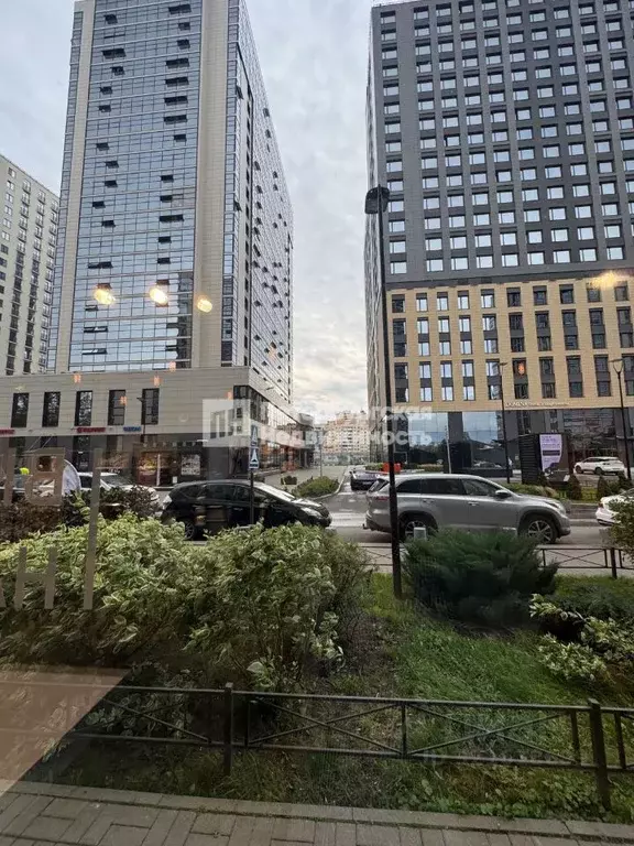 Студия Санкт-Петербург Пулковское ш., 14Е (24.4 м) - Фото 1