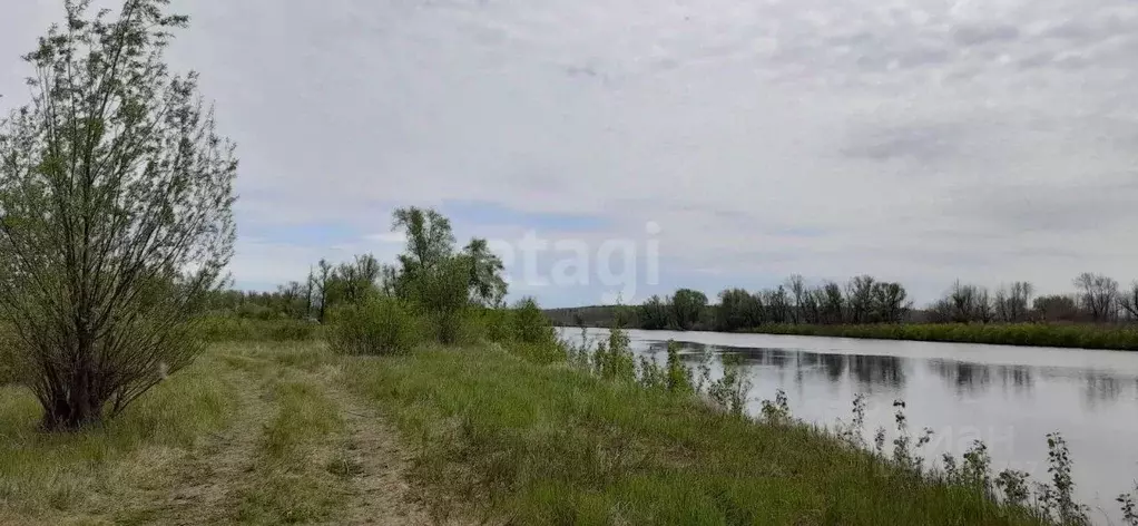 Участок в Тюменская область, Тюменский район, с. Борки  (20.0 сот.) - Фото 0