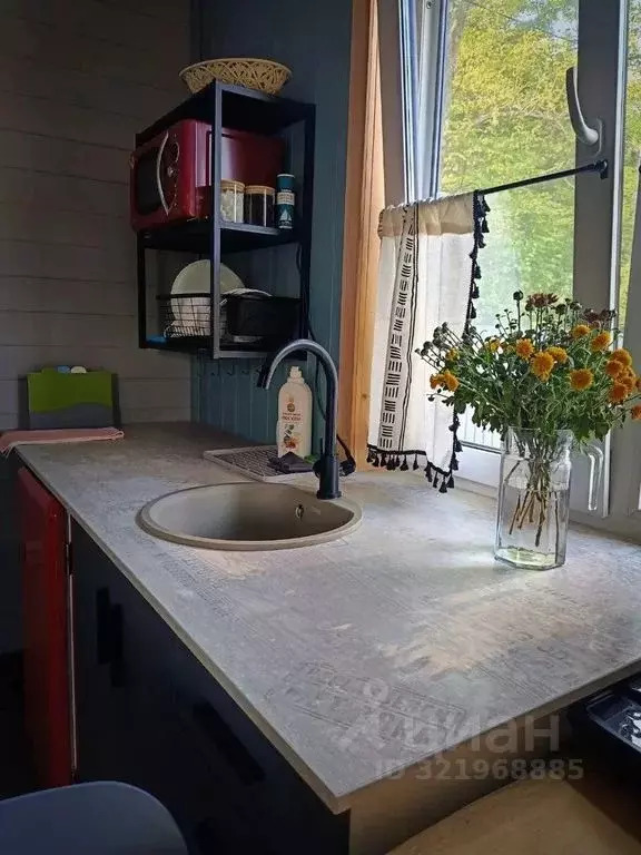 Дом в Приморский край, Артем Парковая ул., 100 (32 м) - Фото 1