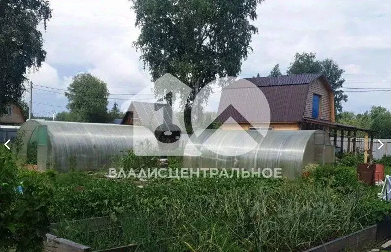 Дом в Новосибирская область, Новосибирск Буревестник Пашинский СНТ, № ... - Фото 1