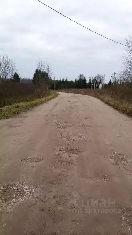 Участок в Новгородская область, Новгородский район, Трубичинское ... - Фото 0