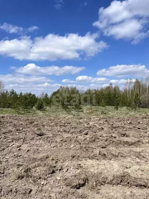 Участок в Свердловская область, Верхнее Дуброво пгт ул. Бажова (14.5 ... - Фото 1
