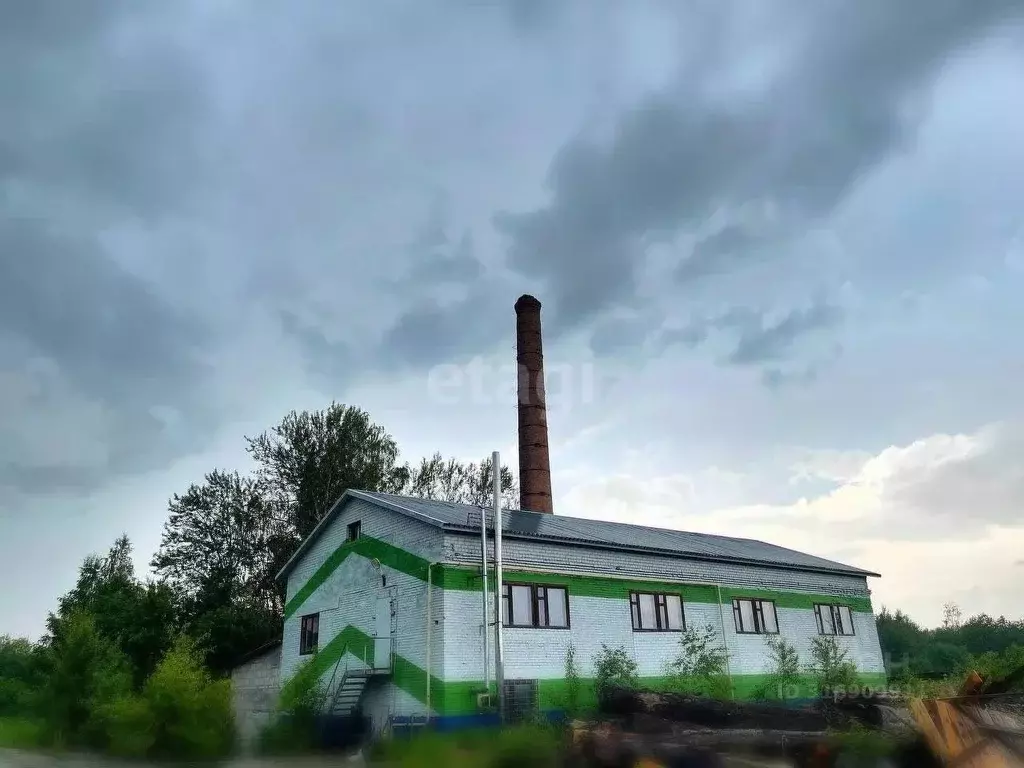 Склад в Ярославская область, Борисоглебский рп ул. Красноармейская, 72 ... - Фото 1