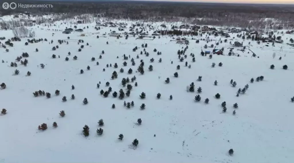 Участок в село Фирсово, микрорайон Рощино, улица Пушкина (8 м) - Фото 1