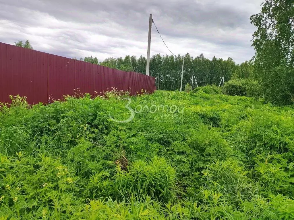 Участок в Нижегородская область, Городецкий муниципальный округ, с. ... - Фото 2