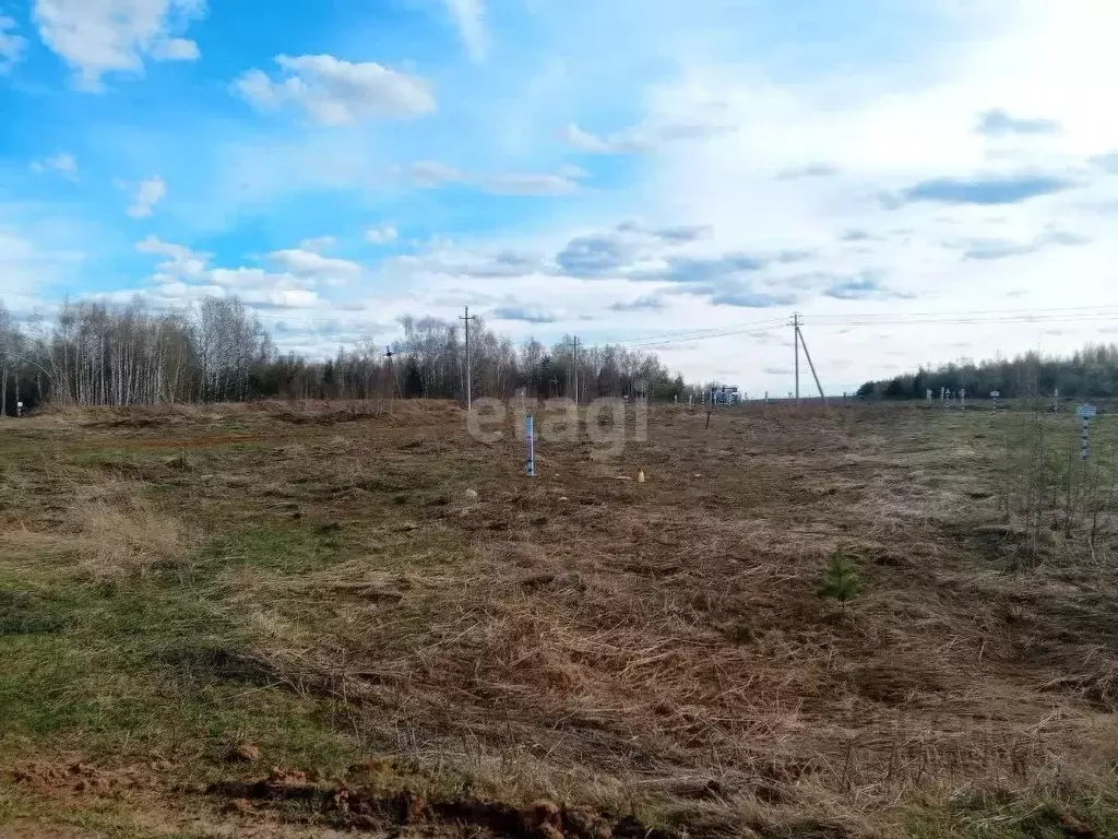 Участок в Нижегородская область, Богородский муниципальный округ, д. ... - Фото 1