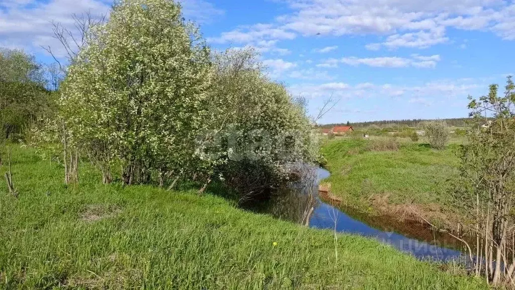 Участок в Пермский край, Пермский муниципальный округ, с. Кольцово  ... - Фото 1