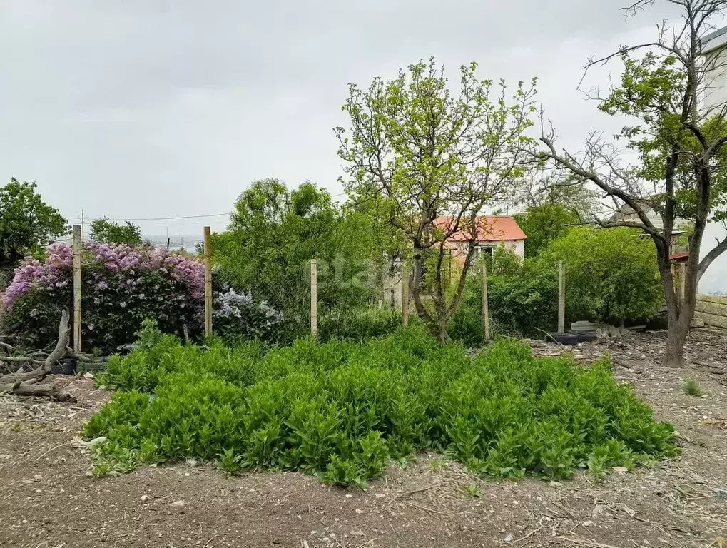 Участок в Крым, Феодосия пер. Корабельный (5.3 сот.) - Фото 1