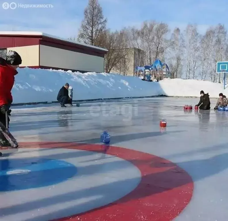 Участок в Пермский край, Ординский муниципальный округ, село Медянка ... - Фото 2