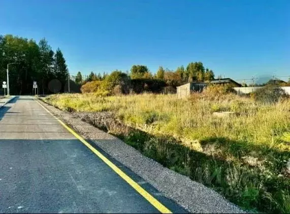 Участок в Ленинградская область, Приозерский район, Красноозерное ... - Фото 2