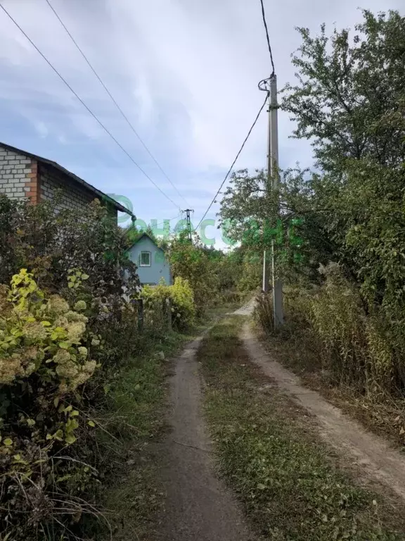 Участок в Брянская область, Брянский район, Добрунское с/пос, Сигнал ... - Фото 1