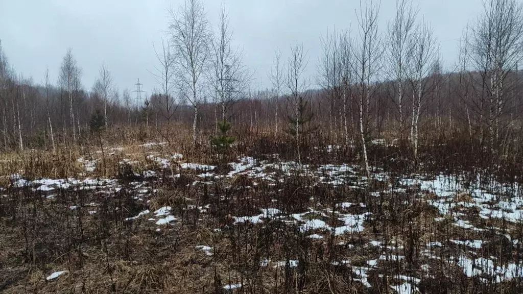 Участок в Московская область, Домодедово городской округ, с. ... - Фото 1