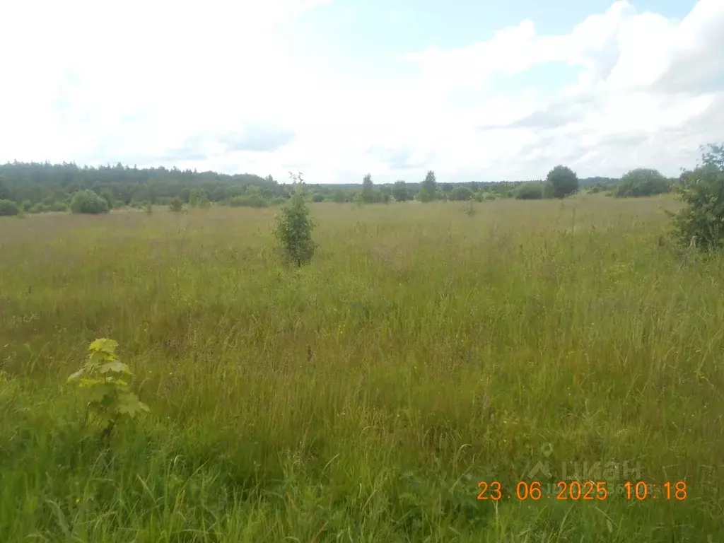 Участок в Московская область, Шаховская муниципальный округ, с. ... - Фото 1