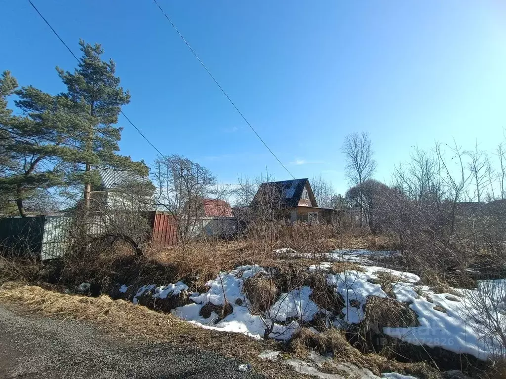Участок в Ленинградская область, Тосненский район, Красноборское ... - Фото 1