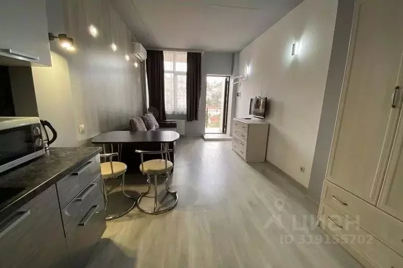 1-к кв. Краснодарский край, Сочи Красная ул., 27 (30.0 м) - Фото 1