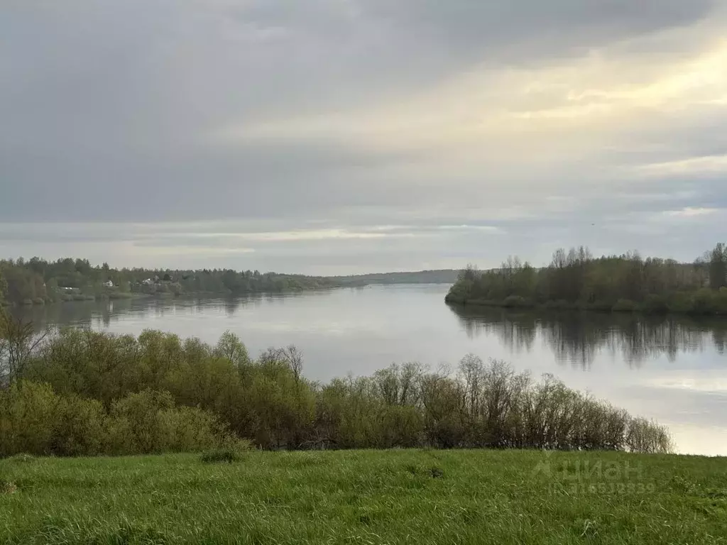 Участок в Новгородская область, Новгородский район, Савинское с/пос, ... - Фото 1