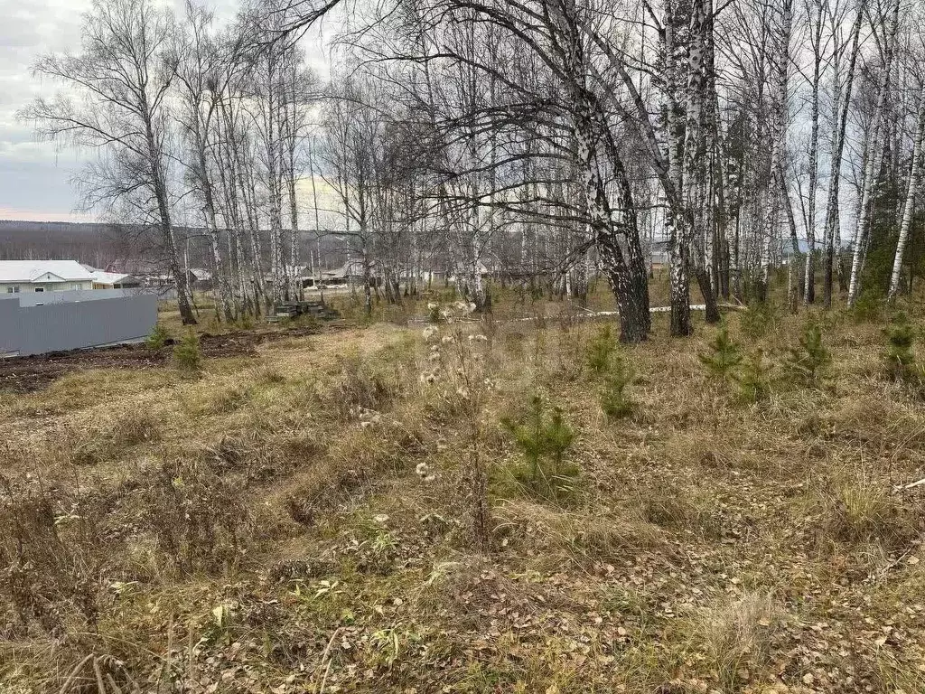 Участок в Челябинская область, Чебаркульский муниципальный округ, д. ... - Фото 1