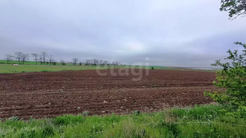 Участок в Крым, Сакский район, Ореховское с/пос, с. Червоное  (50.0 ... - Фото 1