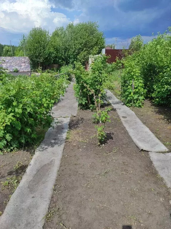 Дом в Заводоуковск, СНТ Раздолье, 109 (64 м) - Фото 2