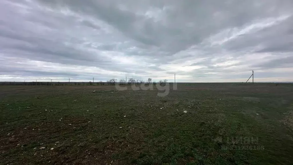 Участок в Крым, Черноморский район, с. Окуневка  (428.73 сот.) - Фото 2