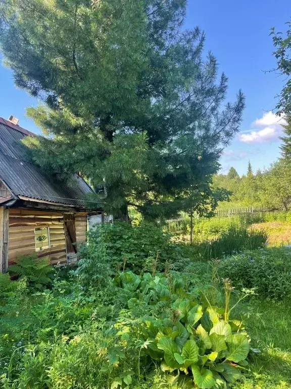 Дом в Кемеровская область, Таштагольский район, Шерегешское городское ... - Фото 1