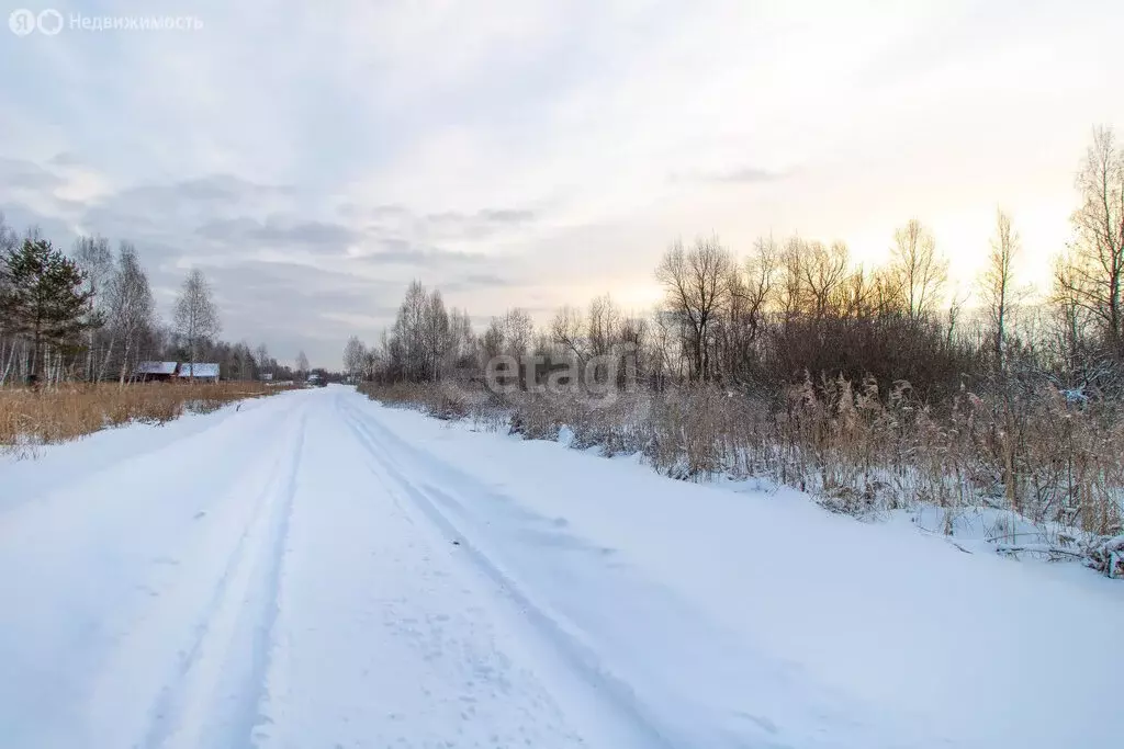 Участок в Тюневское сельское поселение, ДНТ Приозерное, Солнечная ... - Фото 1