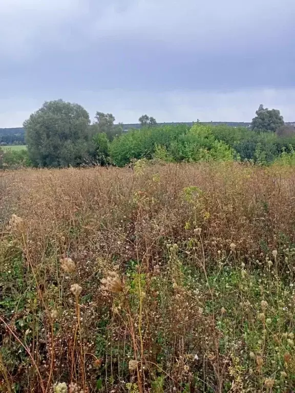 Участок в Белгородская область, Строитель Яковлевский городской округ, ... - Фото 0