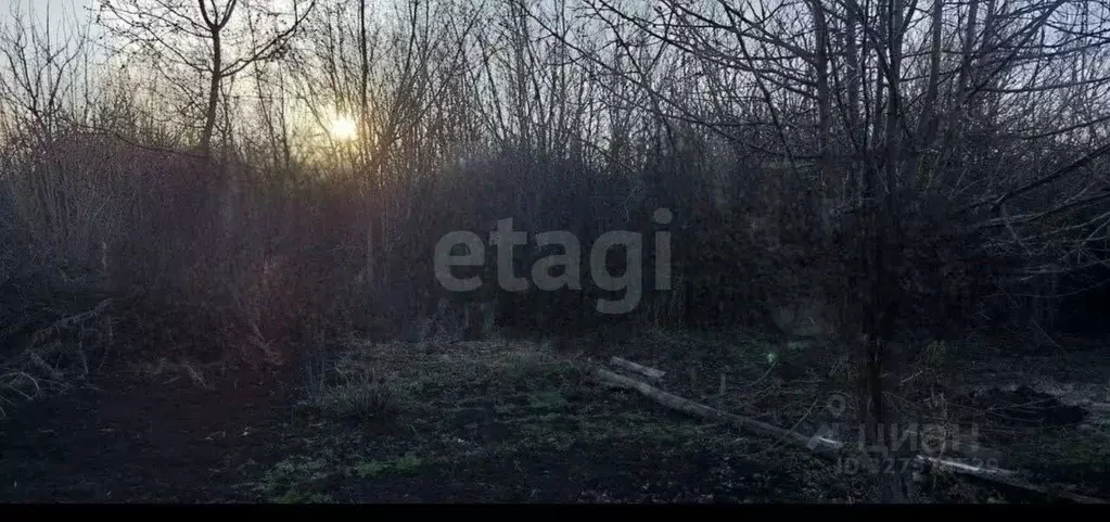 Участок в Татарстан, Альметьевск Буровик-1 СТ, 90 (6.12 сот.) - Фото 1