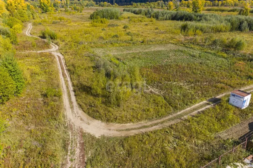 Участок в Новосибирская область, Новосибирский район, Кубовинский ... - Фото 0